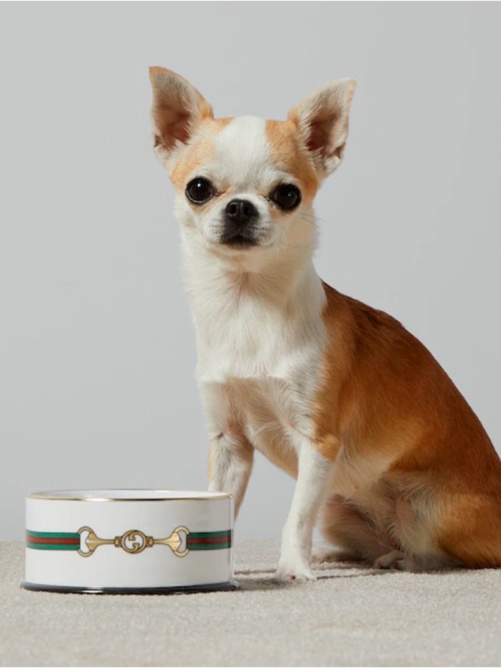 Gucci Small Horsebit Print Pet Bowl